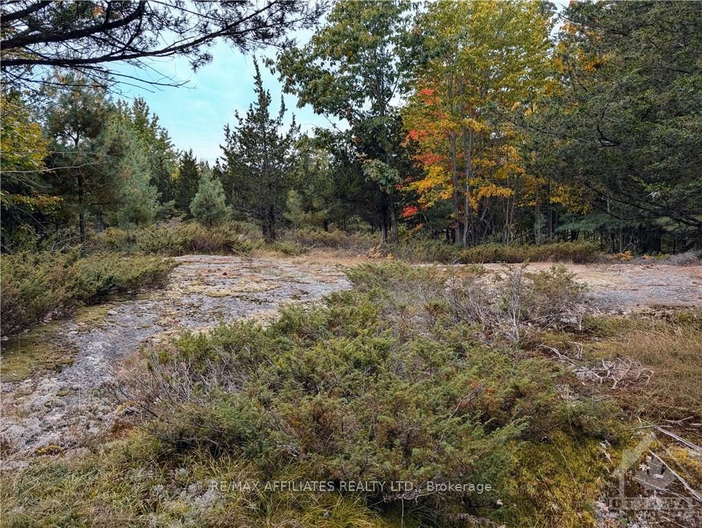 Photo 7 of Mountain Road, Westport — HOMEH