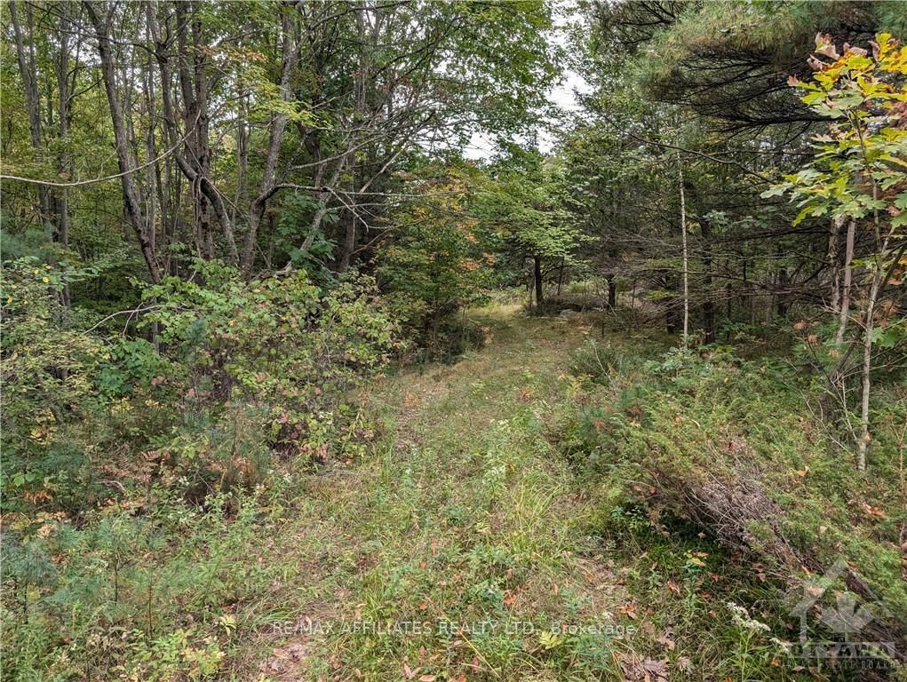 Photo 20 of Mountain Road, Westport — HOMEH