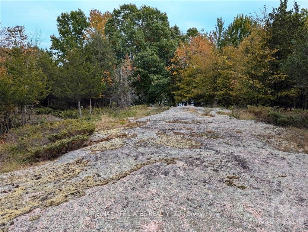 Photo 9 of Mountain Road, Westport — HOMEH