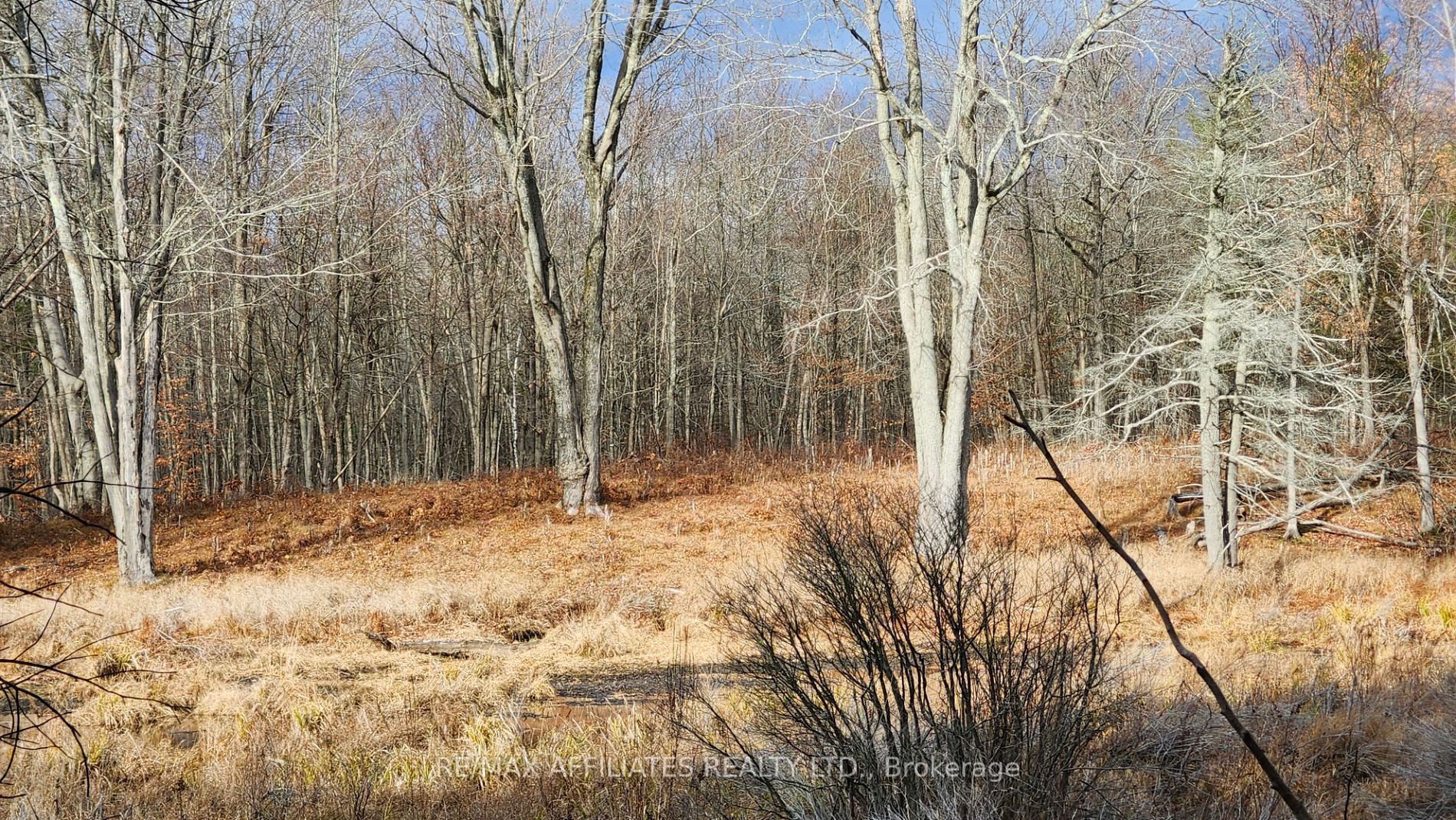Photo 31 of Mountain Road, Westport — HOMEH