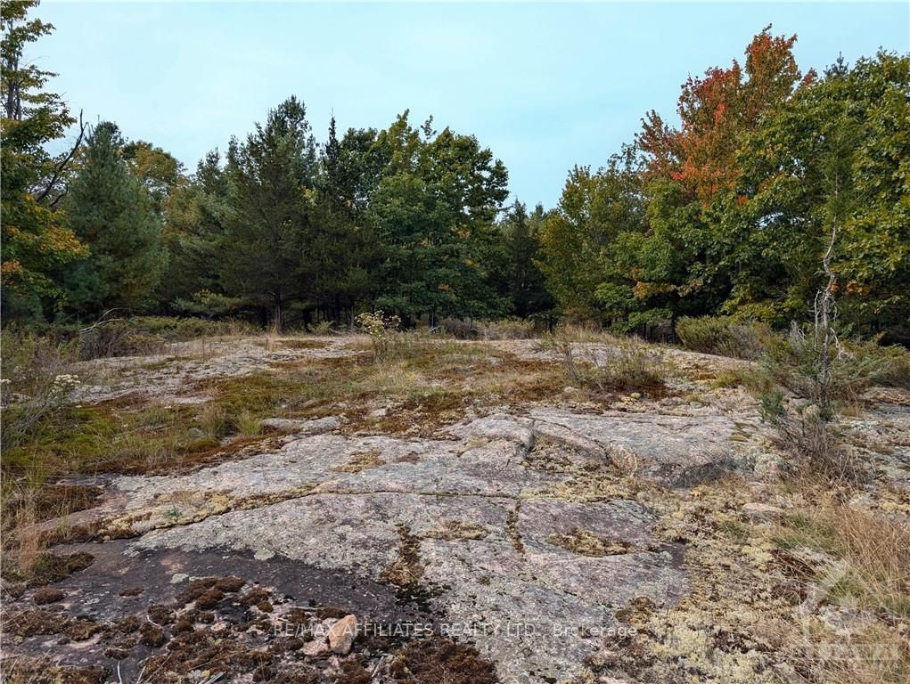 Photo 16 of Mountain Road, Westport — HOMEH