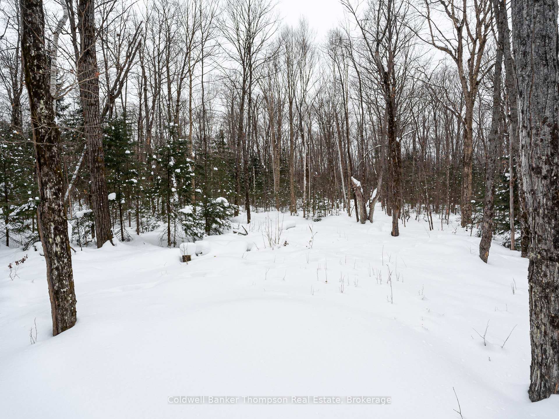 Photo 11 of 170 Ely Side Road, Armour — HOMEH