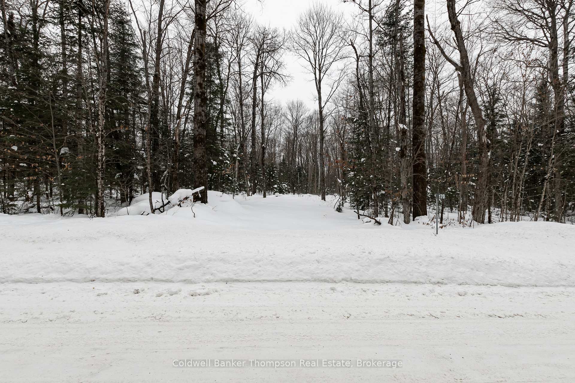 Photo 12 of 170 Ely Side Road, Armour — HOMEH