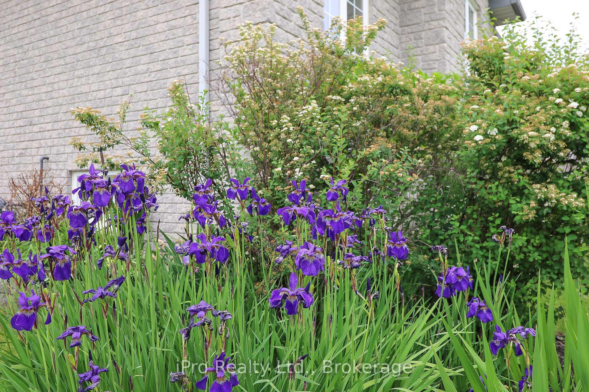 Photo 34 of 16 Martyn Drive, Wasaga Beach — HOMEH
