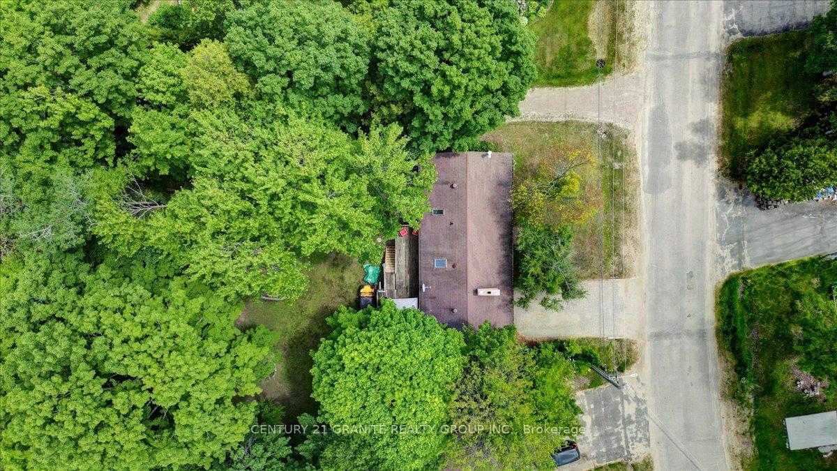 Photo 43 of 22 Forest Hill Road, Bancroft, Bancroft Ward — HOMEH