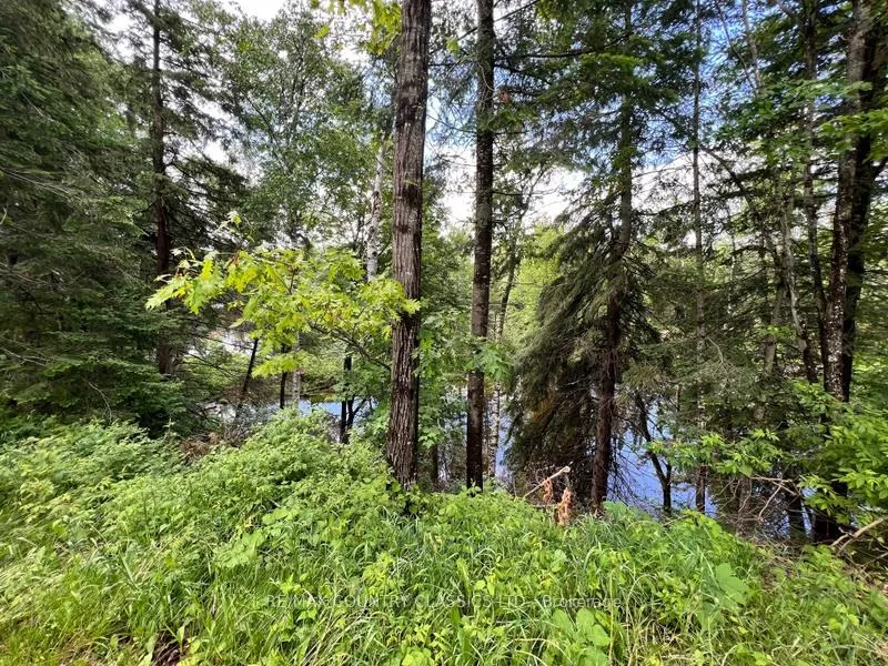Photo 73 of 76 York River Drive, Bancroft, Bancroft Ward — HOMEH