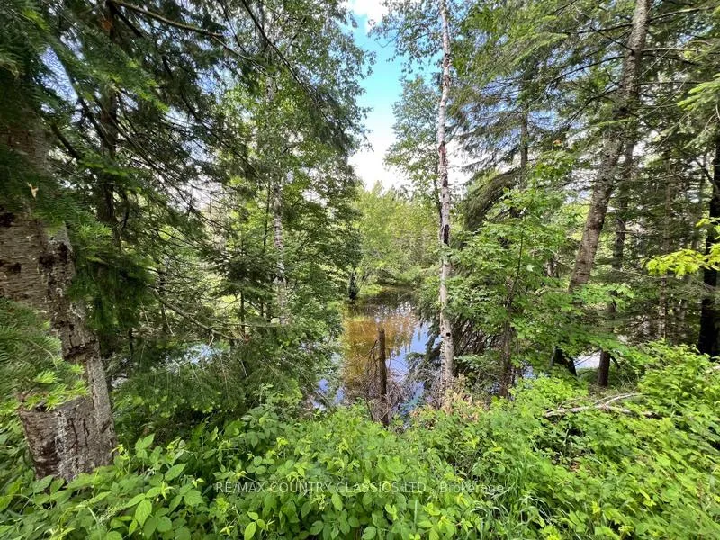 Photo 75 of 76 York River Drive, Bancroft, Bancroft Ward — HOMEH