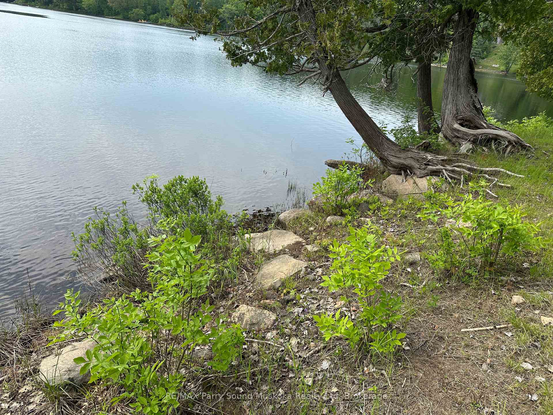 Photo 7 of 47 Shady Maple Trail, Whitestone — HOMEH