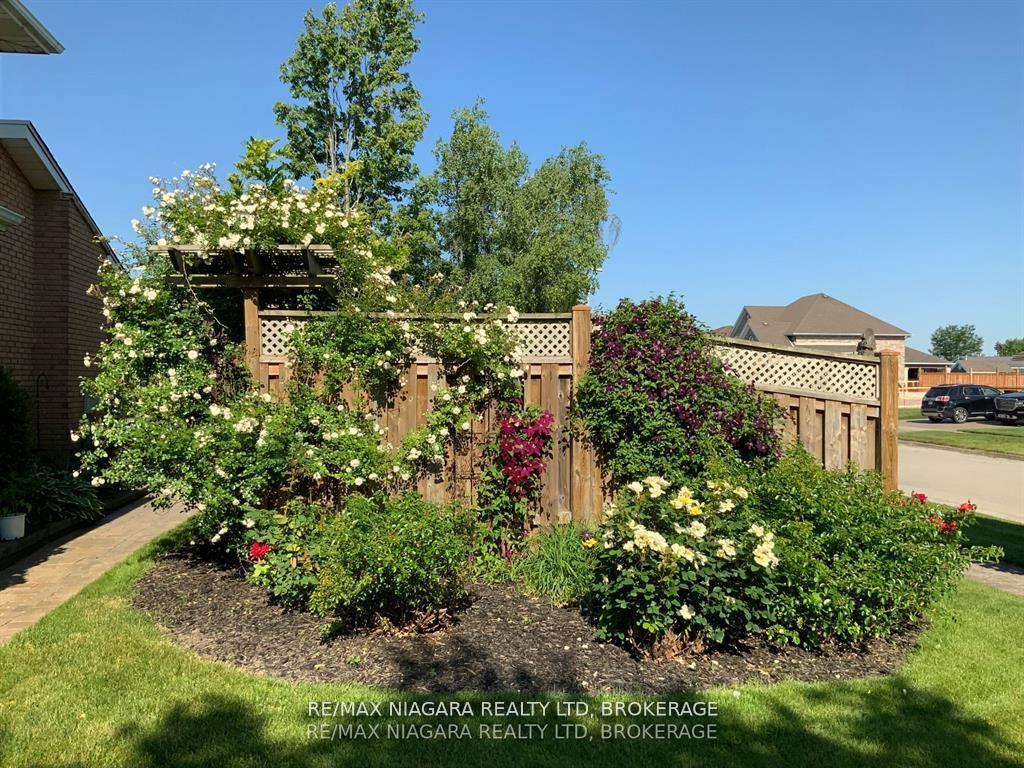 Photo 41 of 55 Willson Road, Welland, Prince Charles — HOMEH