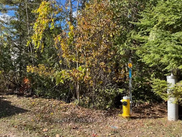 Photo 2 of 00000 River Road E, Wasaga Beach — HOMEH