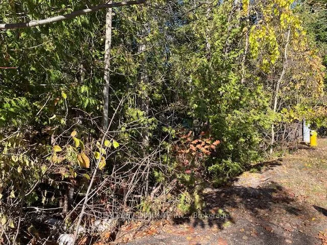 Photo 4 of 00000 River Road E, Wasaga Beach — HOMEH