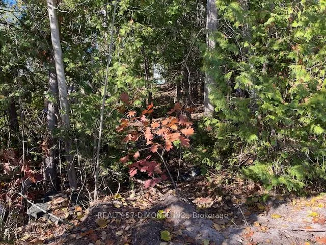 Photo 5 of 00000 River Road E, Wasaga Beach — HOMEH