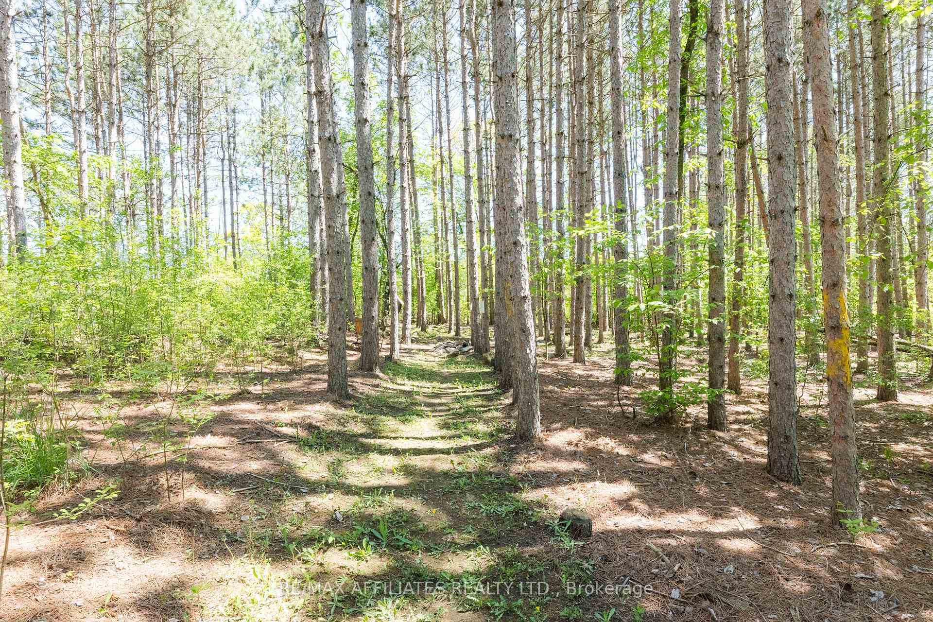Photo 31 of 141 Pine Ridge Drive, Beckwith, Beckwith Twp — HOMEH