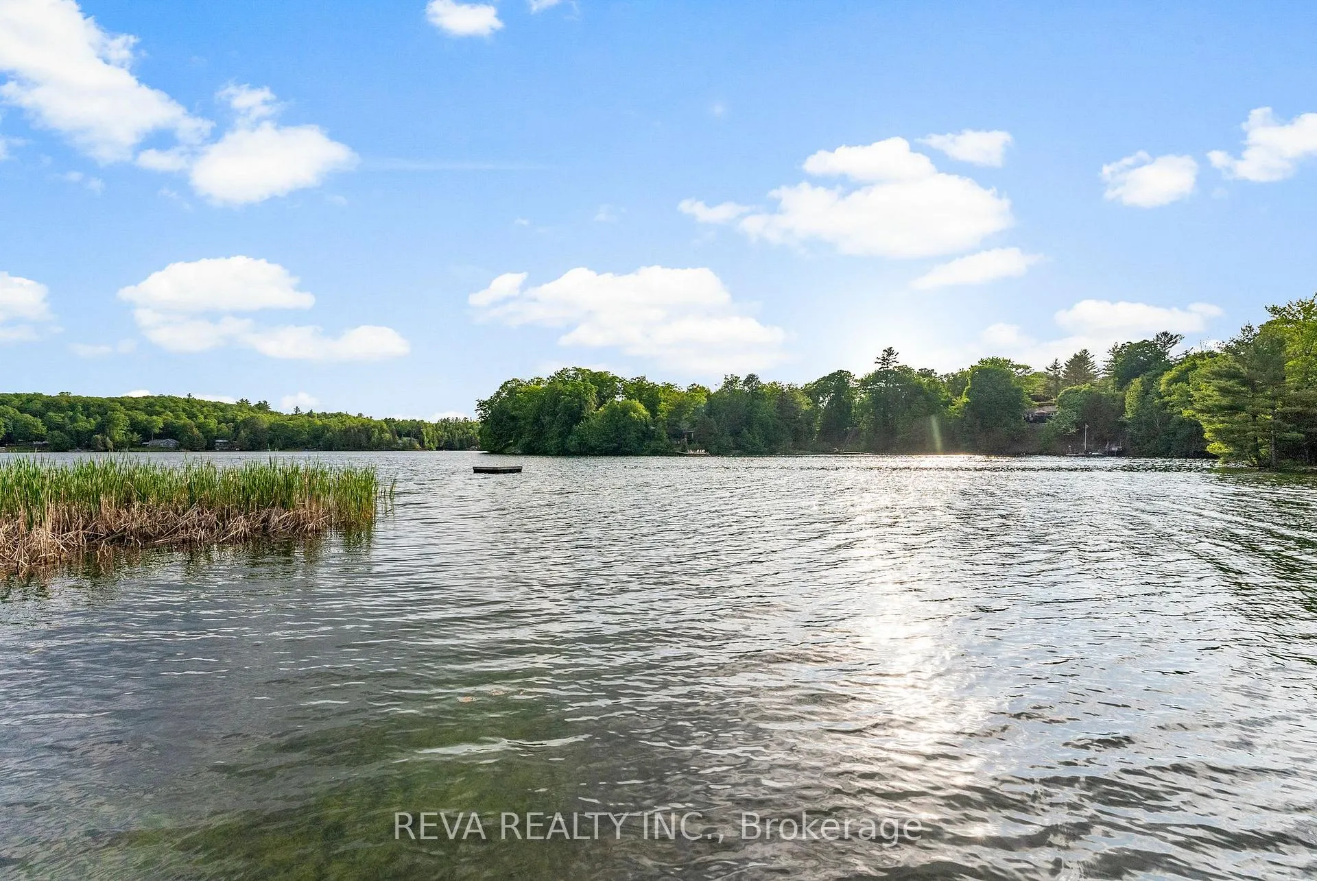 Photo 79 of 14 Robinson Lane, Bancroft, Dungannon Ward — HOMEH