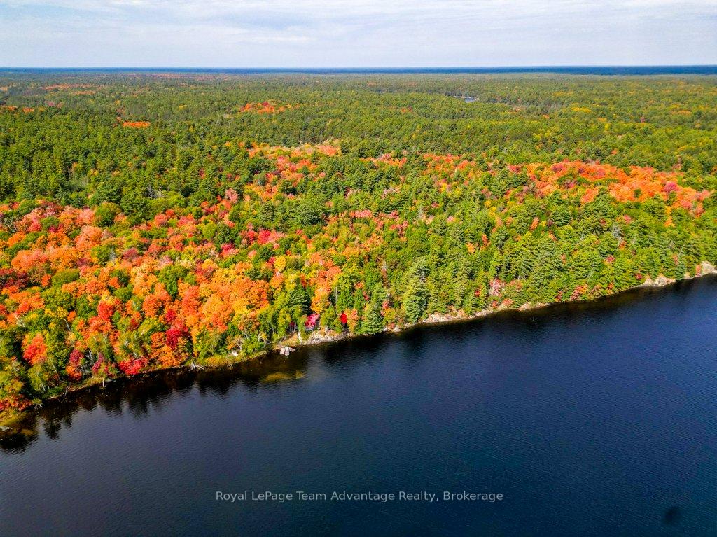 Photo 34 of 9600 HARRIS LAKE water access only, Whitestone — HOMEH