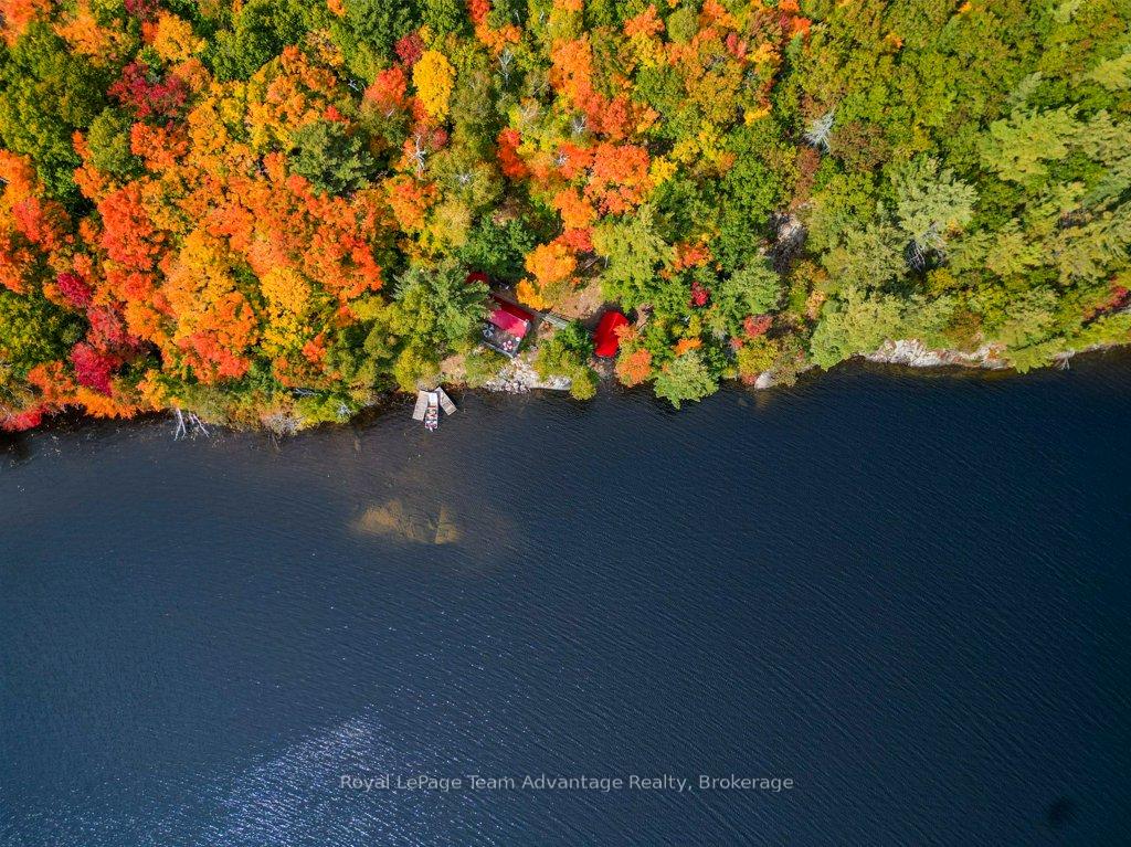 Photo 37 of 9600 HARRIS LAKE water access only, Whitestone — HOMEH