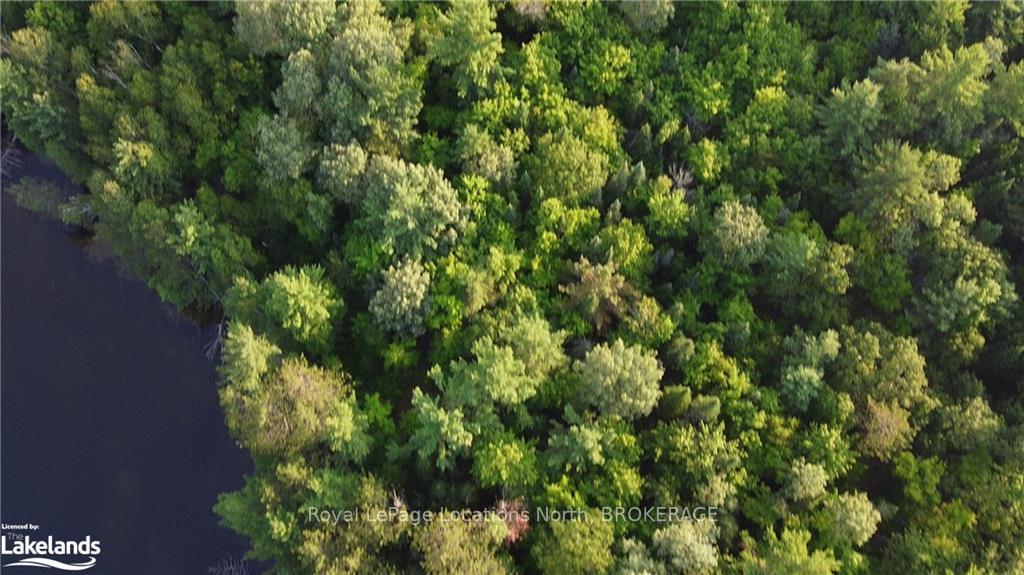 Photo 6 of 8381 Bolger Lake, Whitestone — HOMEH