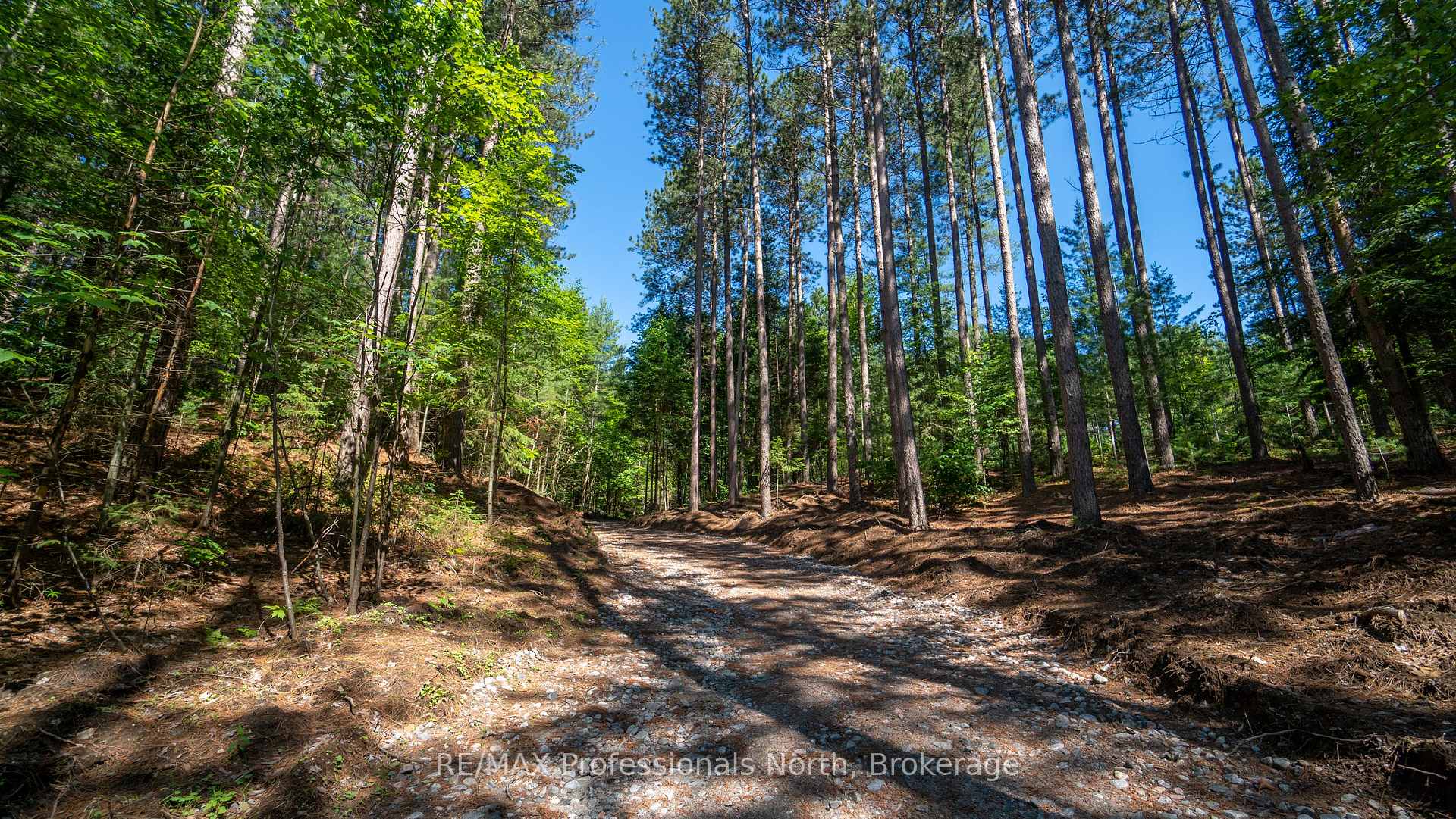 Photo 9 of 1120 Chetwynd Road W, Armour — HOMEH