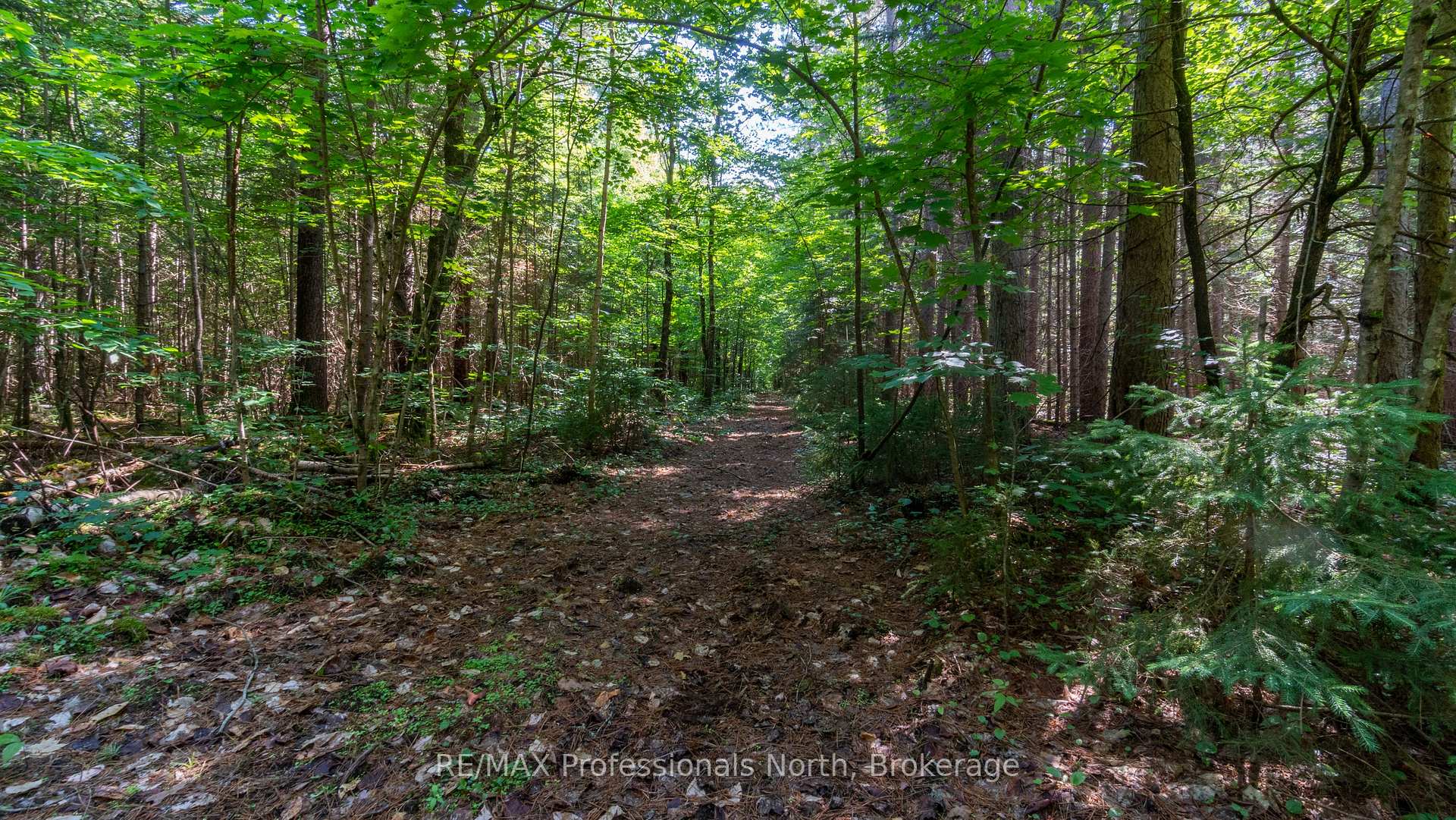 Photo 12 of 1120 Chetwynd Road W, Armour — HOMEH