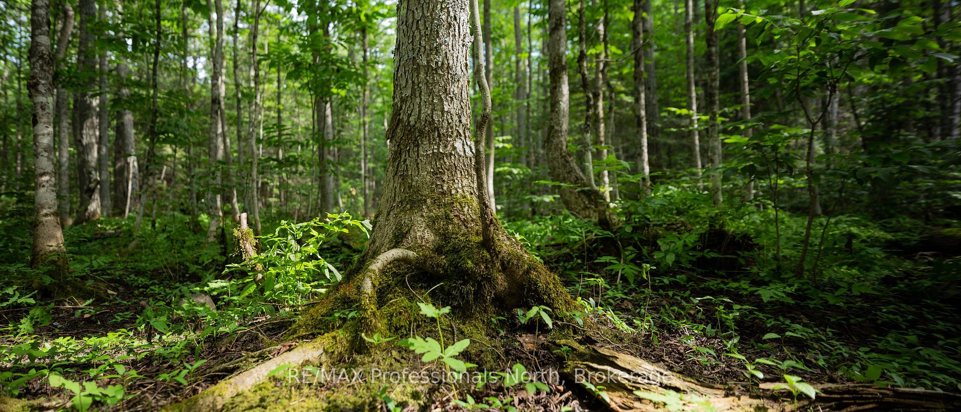 Photo 18 of 1120 Chetwynd Road W, Armour — HOMEH