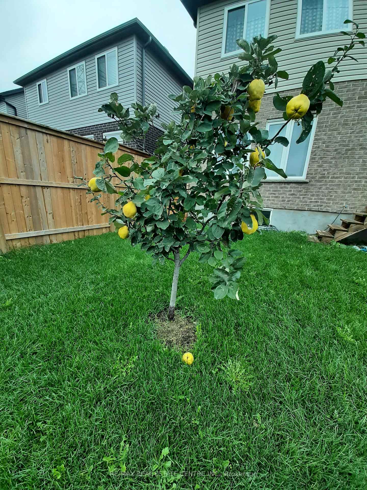 Photo 50 of 275 Buttonbush Street, Waterloo — HOMEH