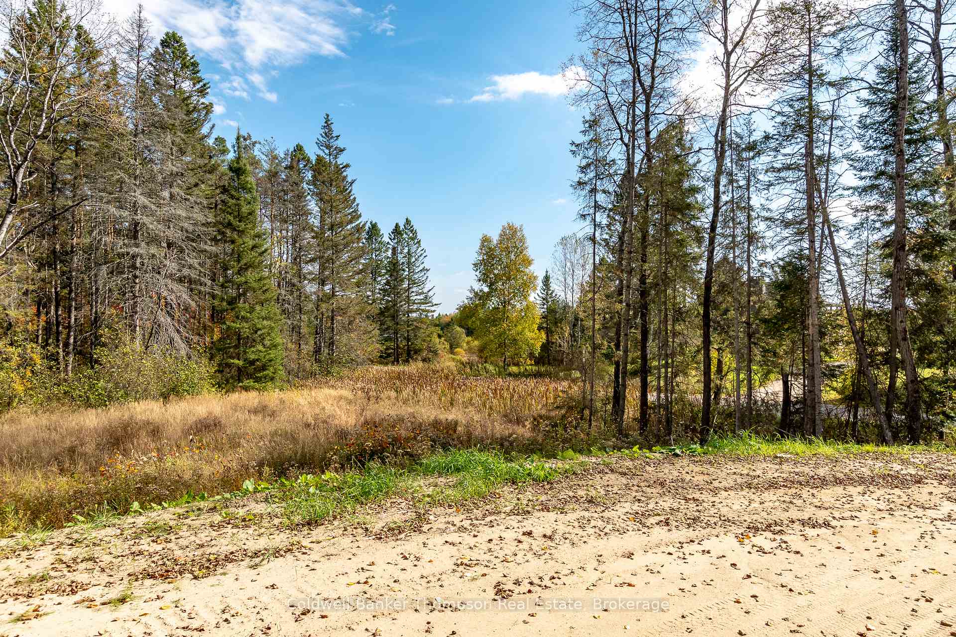 Photo 10 of 240 North Pickerel Lake Road, Armour — HOMEH