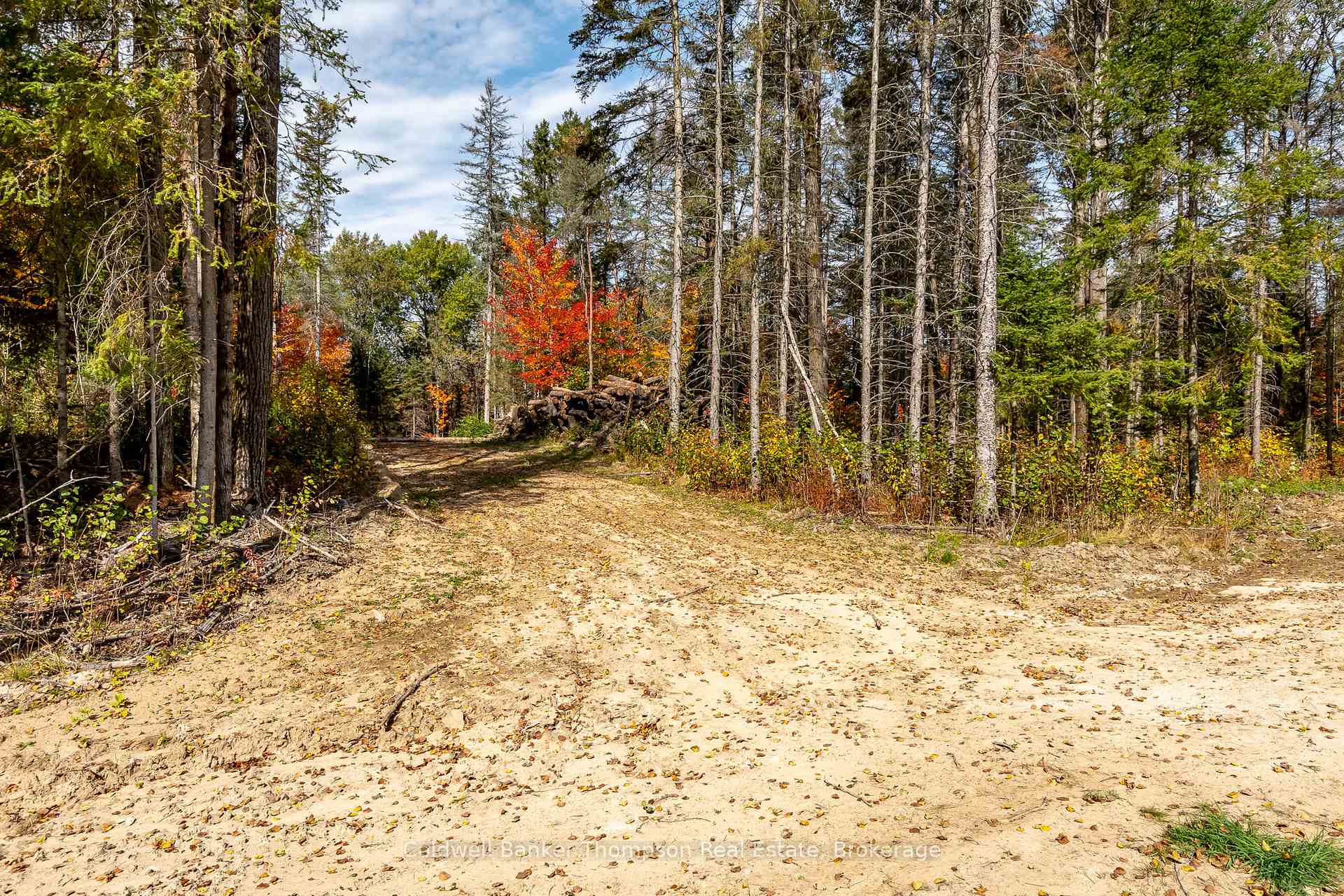 Photo 14 of 240 North Pickerel Lake Road, Armour — HOMEH