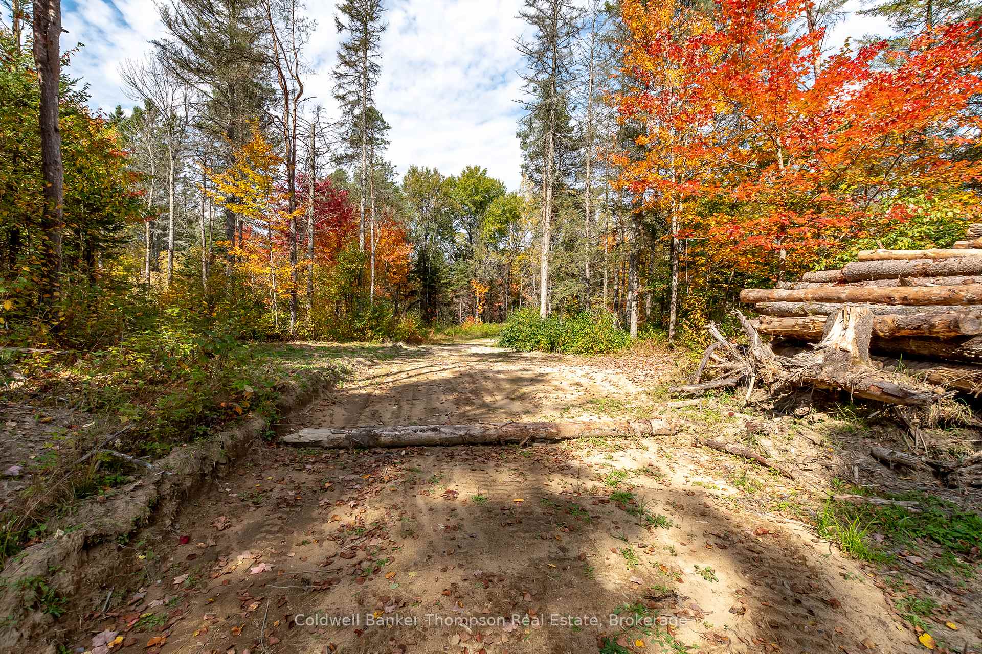 Photo 18 of 240 North Pickerel Lake Road, Armour — HOMEH
