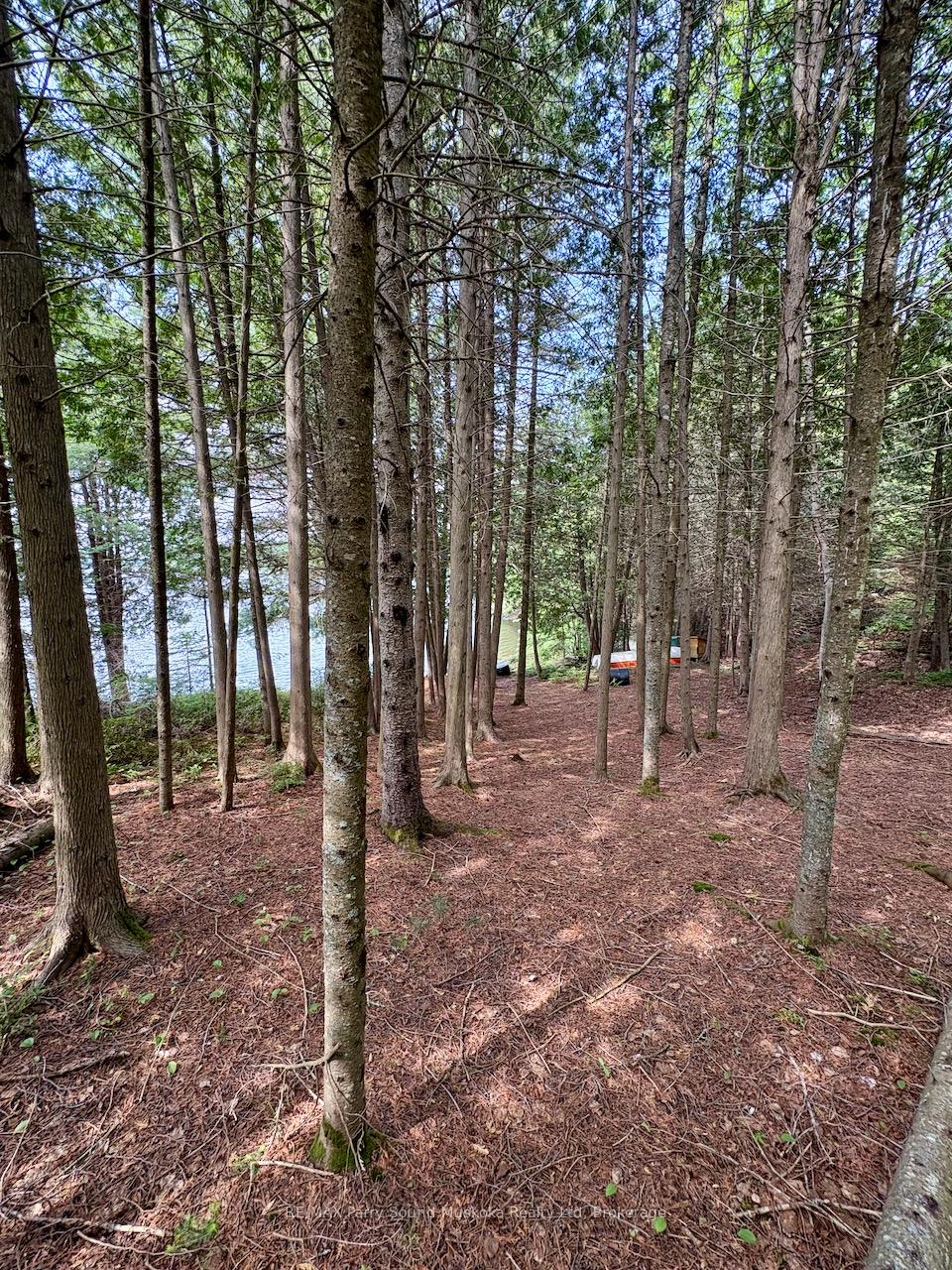 Photo 14 of 490 North Meadowcove Road, Whitestone, Hagerman — HOMEH