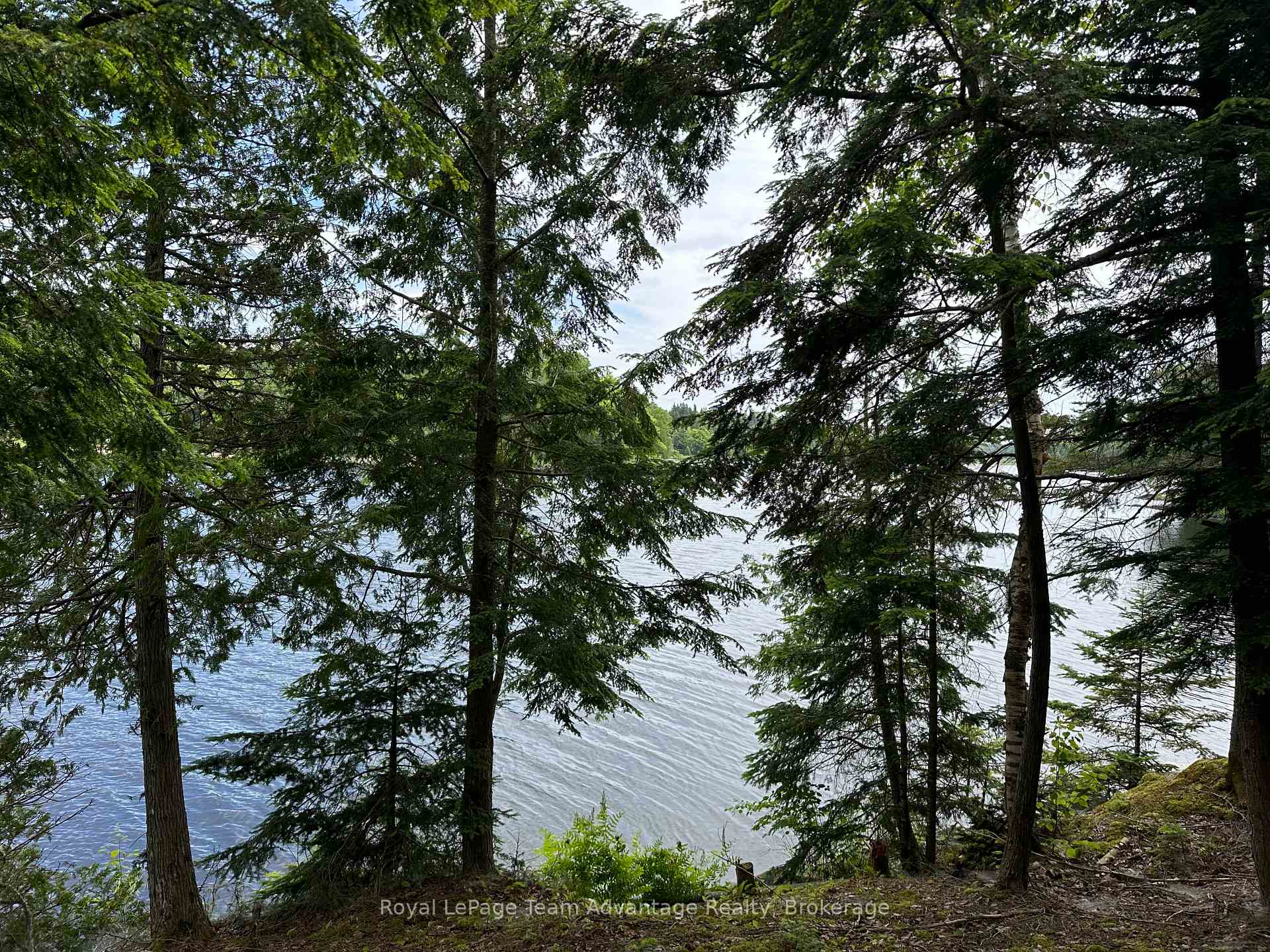 Photo 7 of Whitestone, Whitestone, Hagerman — HOMEH