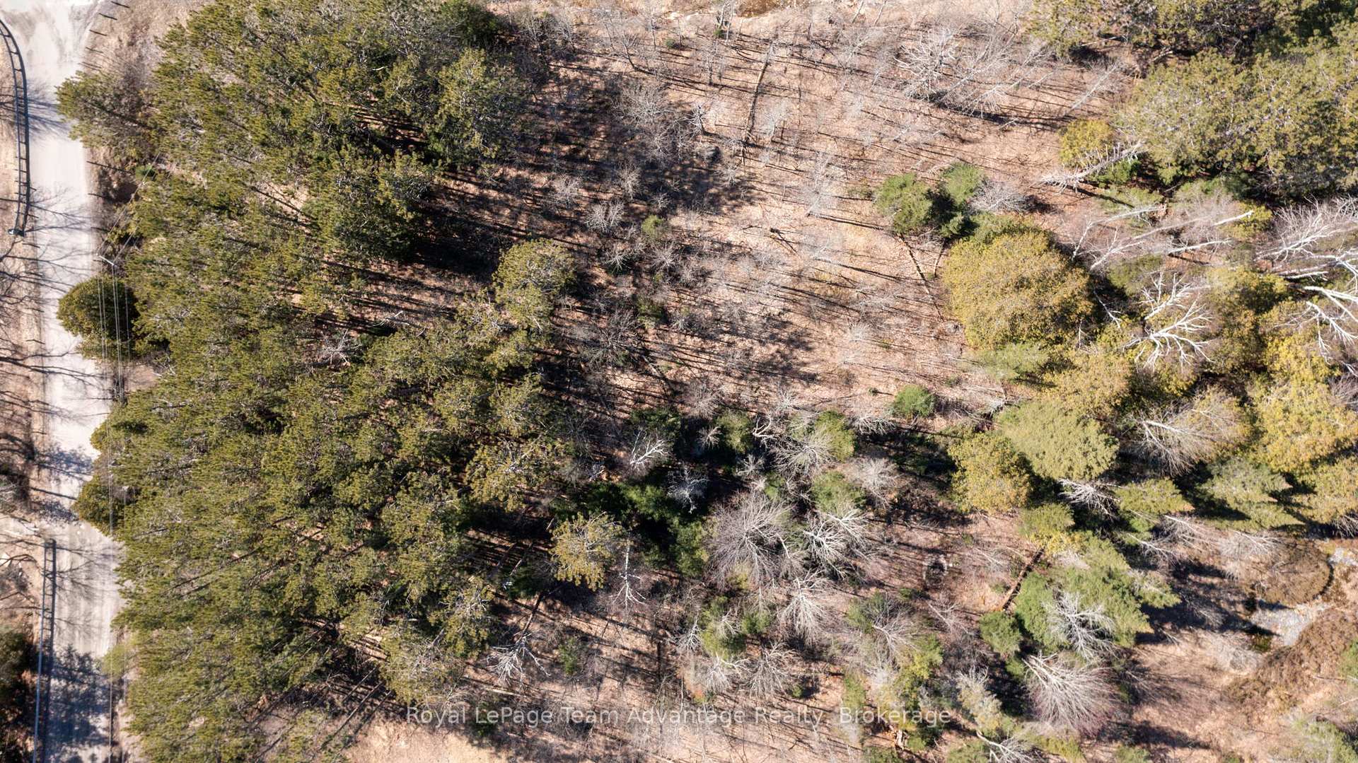 Photo 6 of 195 Boundary Spur Road, Whitestone, Dunchurch — HOMEH
