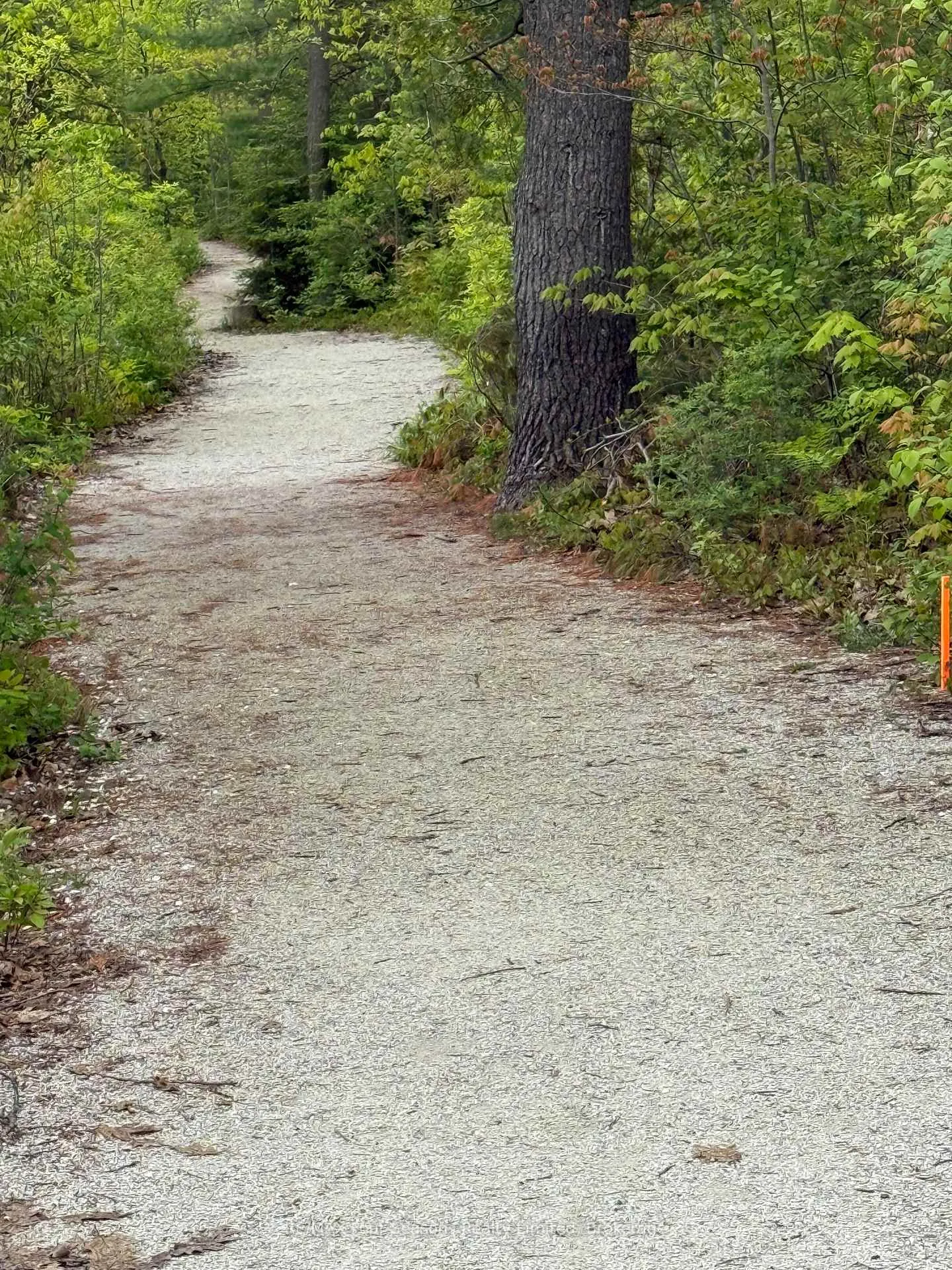 Photo 48 of 243 River Road E, Wasaga Beach — HOMEH