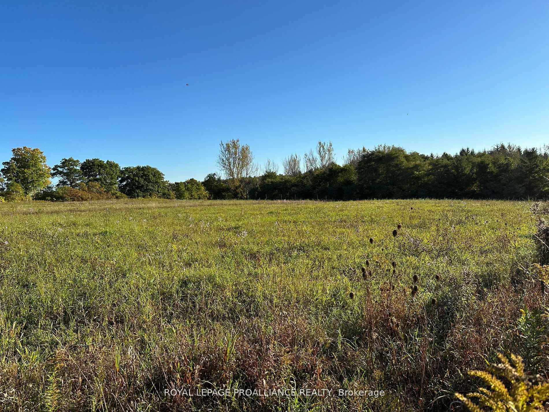 Photo 2 of PT LT 24 County Road 9, Alnwick/Haldimand, Rural Alnwick/Haldimand — HOMEH