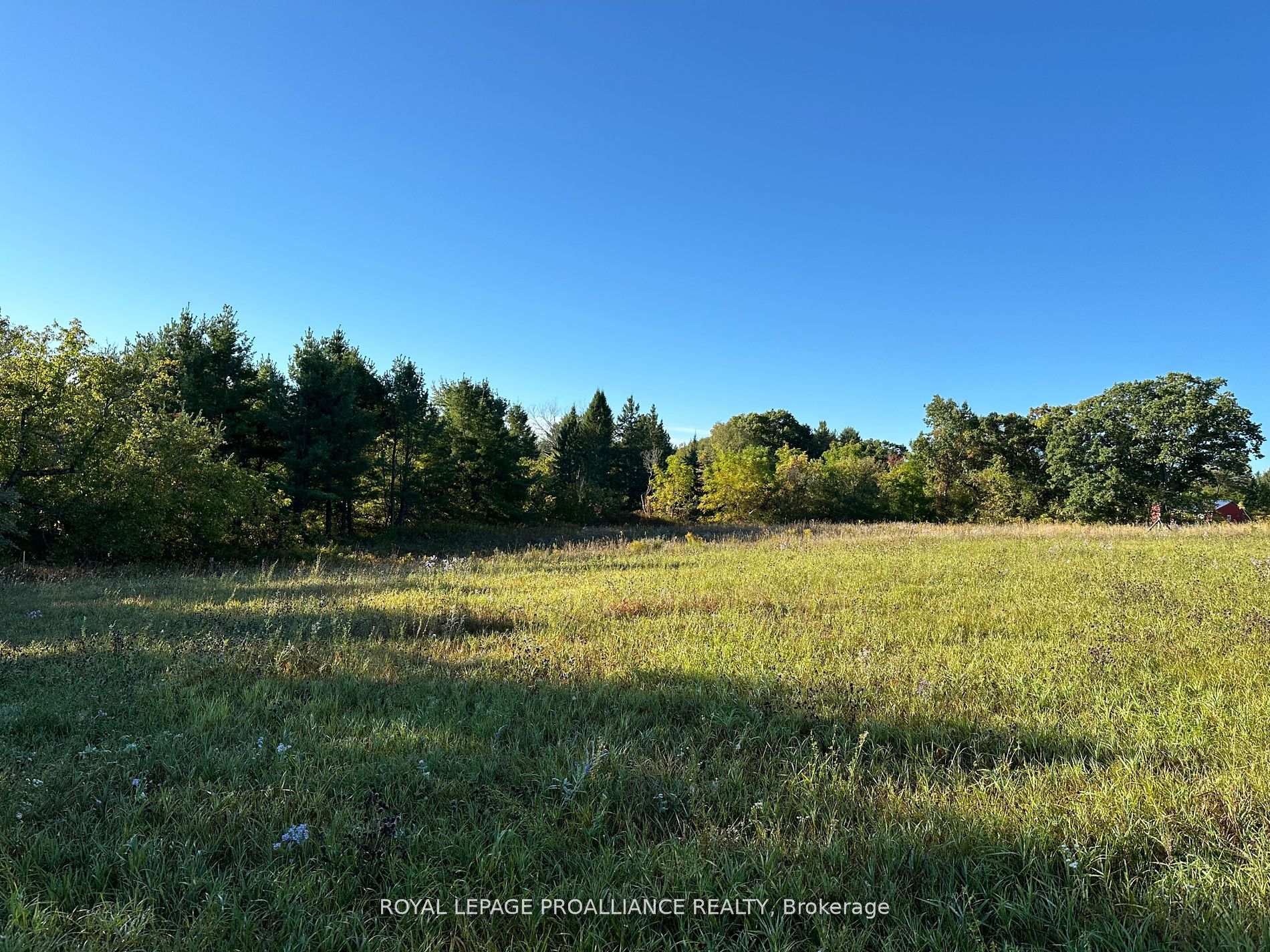 Photo 3 of PT LT 24 County Road 9, Alnwick/Haldimand, Rural Alnwick/Haldimand — HOMEH