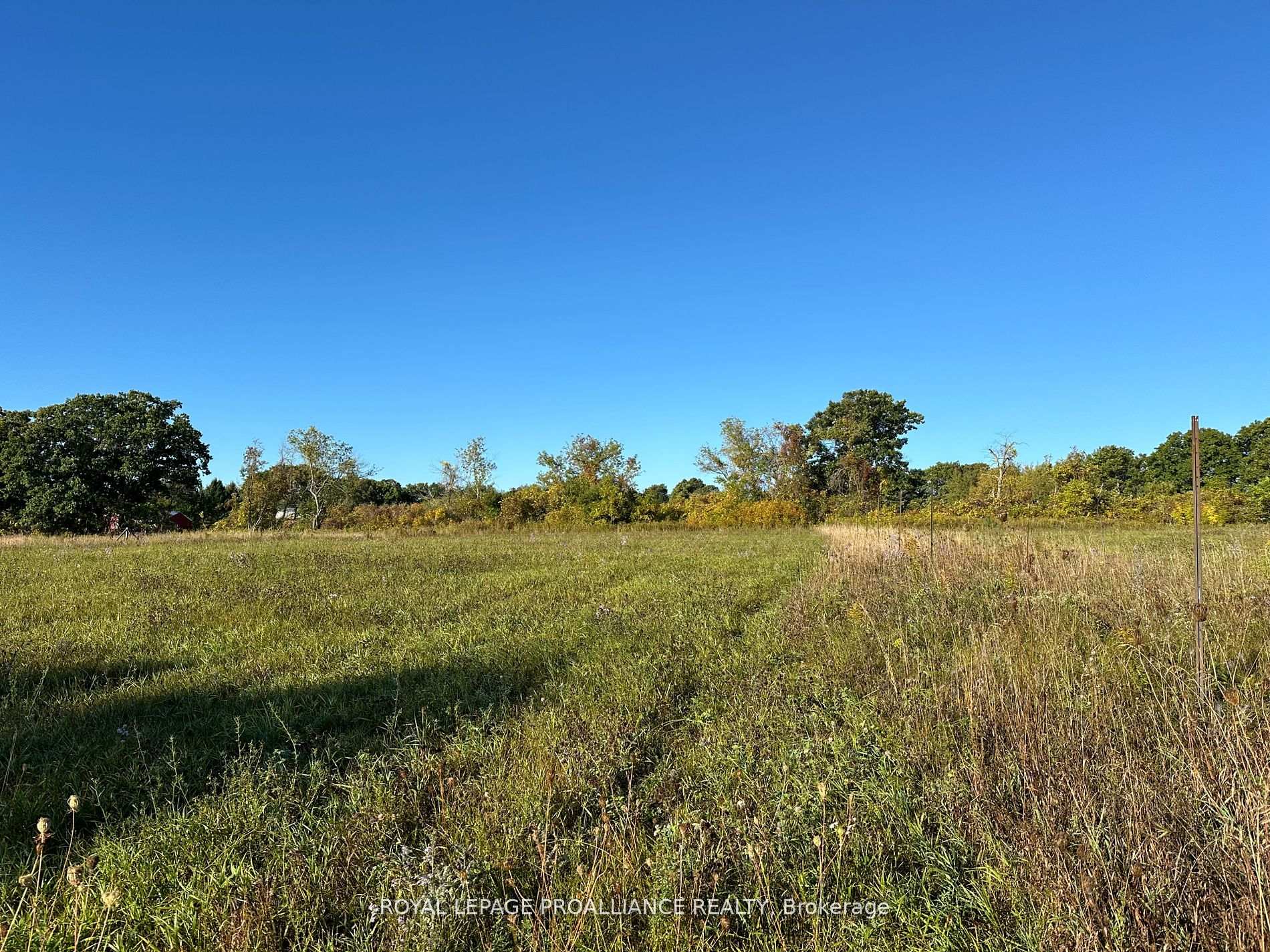 Photo 4 of PT LT 24 County Road 9, Alnwick/Haldimand, Rural Alnwick/Haldimand — HOMEH