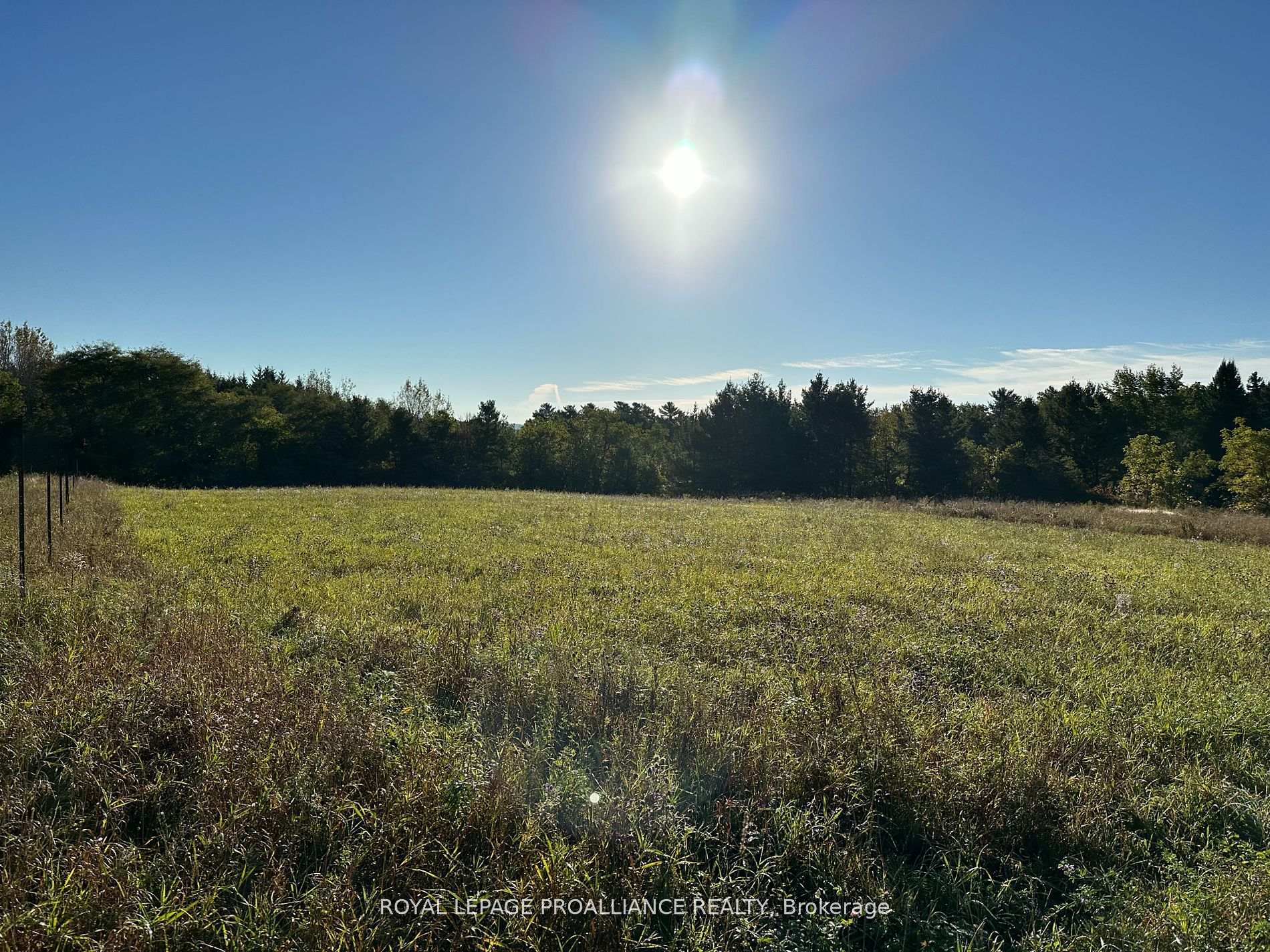 Photo 5 of PT LT 24 County Road 9, Alnwick/Haldimand, Rural Alnwick/Haldimand — HOMEH