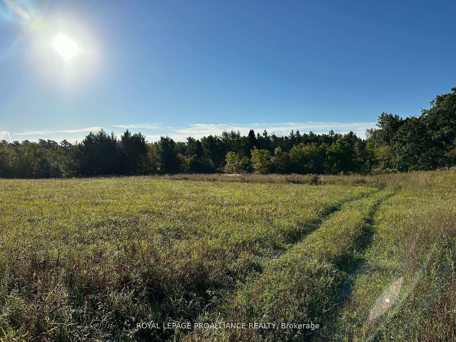 Photo 6 of PT LT 24 County Road 9, Alnwick/Haldimand, Rural Alnwick/Haldimand — HOMEH
