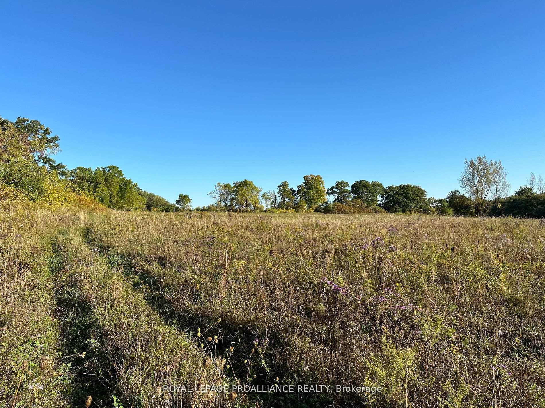 Photo 8 of PT LT 24 County Road 9, Alnwick/Haldimand, Rural Alnwick/Haldimand — HOMEH