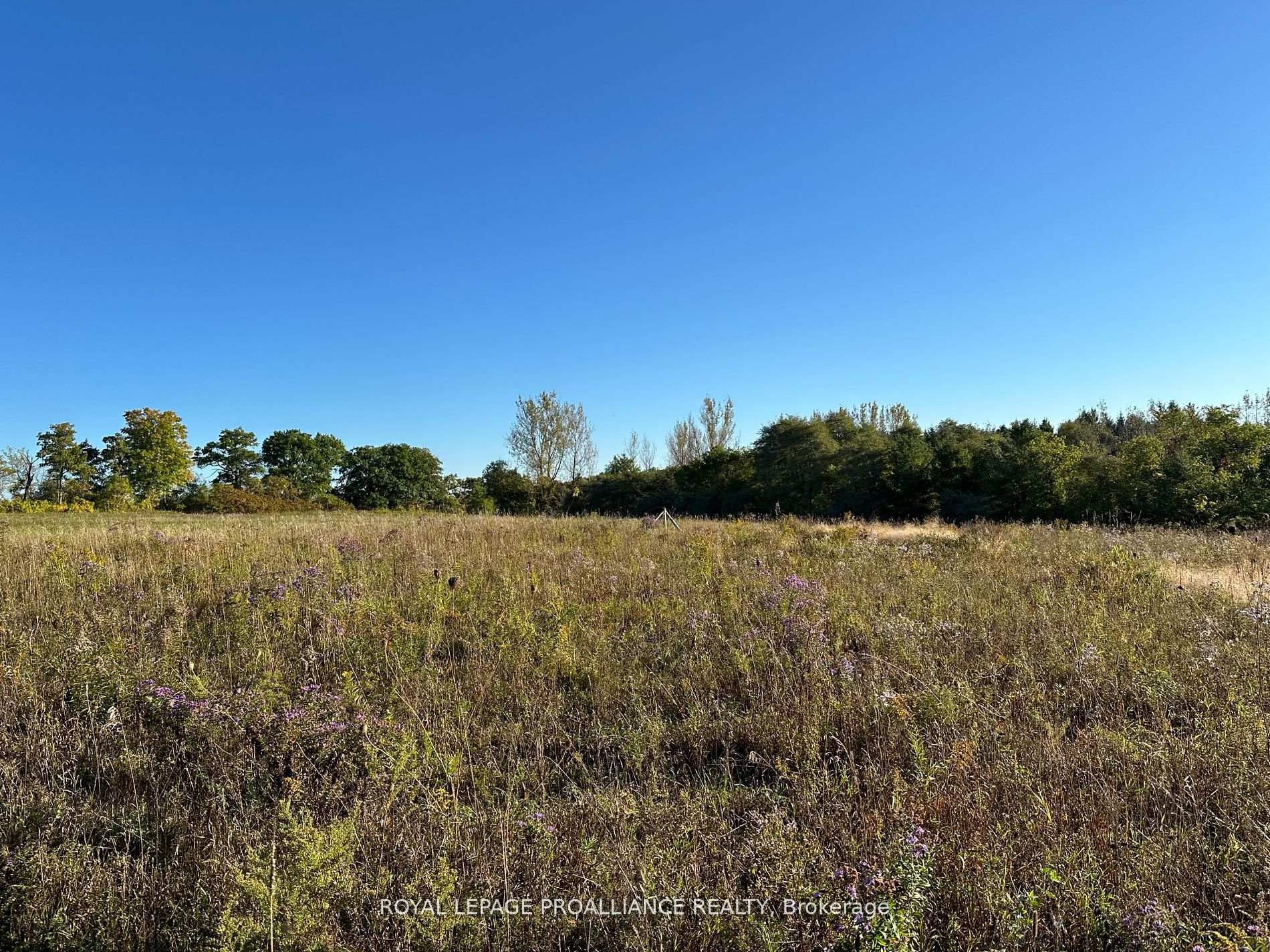 Photo 9 of PT LT 24 County Road 9, Alnwick/Haldimand, Rural Alnwick/Haldimand — HOMEH