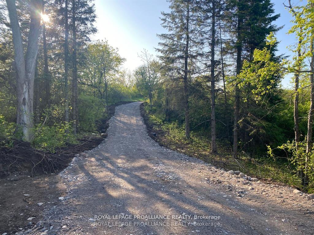 Photo 7 of PT LT 24 County Road 9, Alnwick/Haldimand, Rural Alnwick/Haldimand — HOMEH
