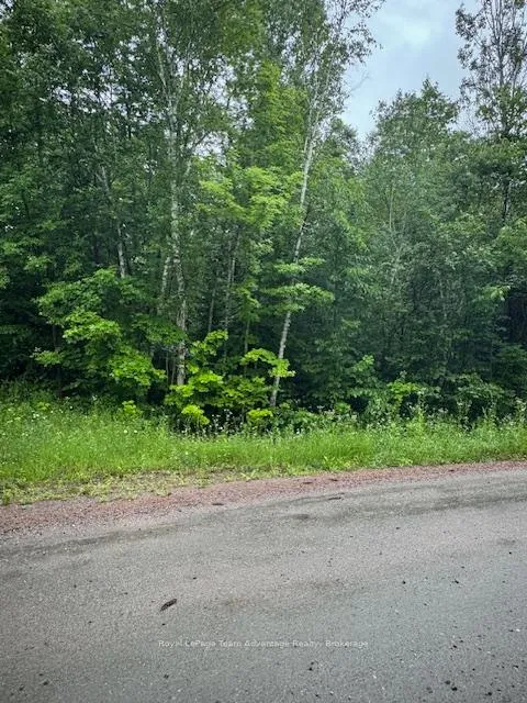 Photo 27 of LOT 29 Farleys Road, Whitestone, Hagerman — HOMEH