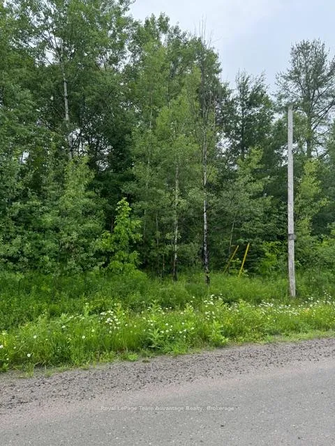 Photo 28 of LOT 29 Farleys Road, Whitestone, Hagerman — HOMEH