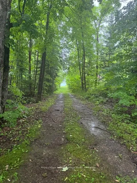 Photo 31 of LOT 29 Farleys Road, Whitestone, Hagerman — HOMEH