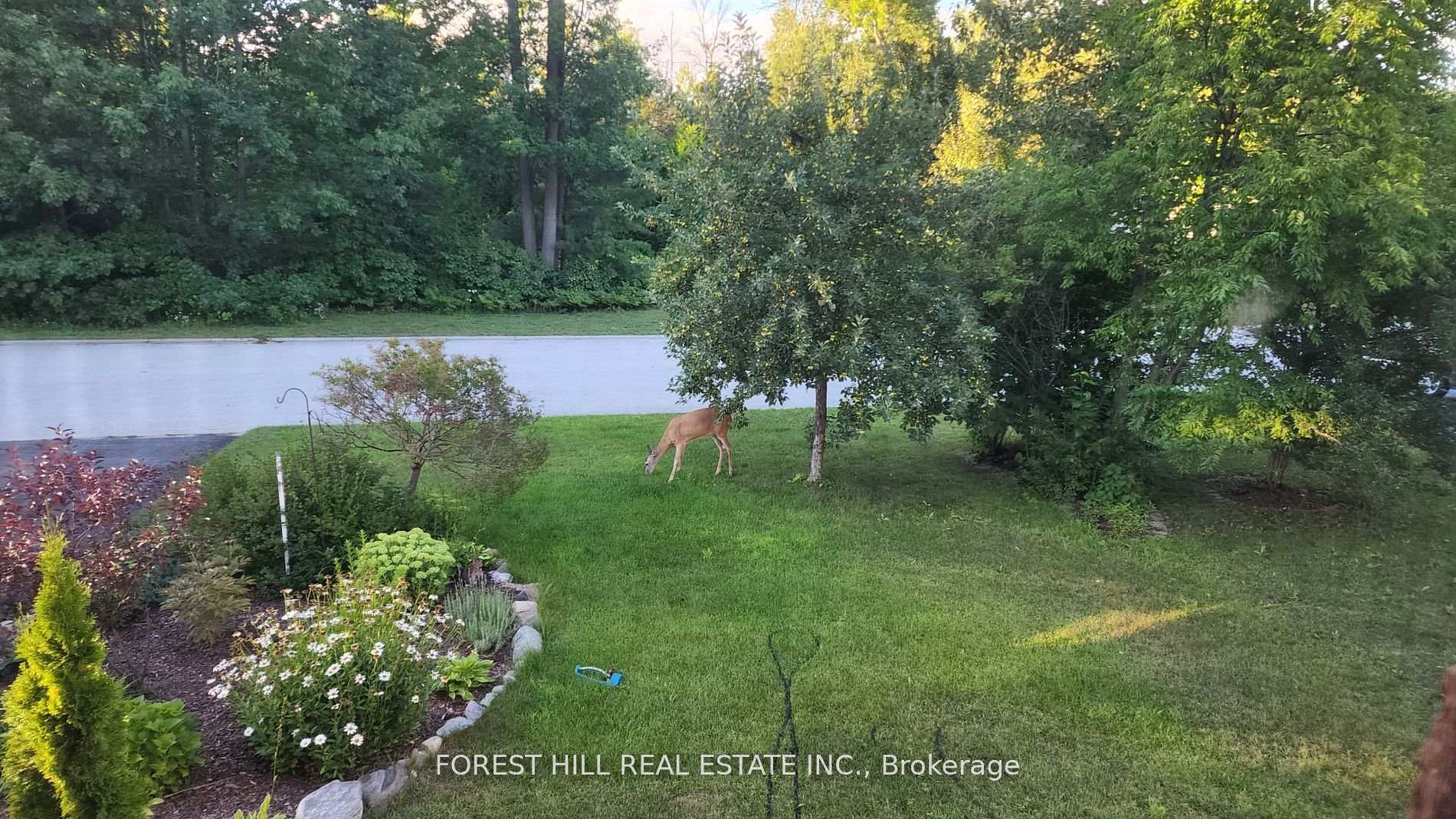 Photo 39 of 7 Tamarack Way, Wasaga Beach — HOMEH