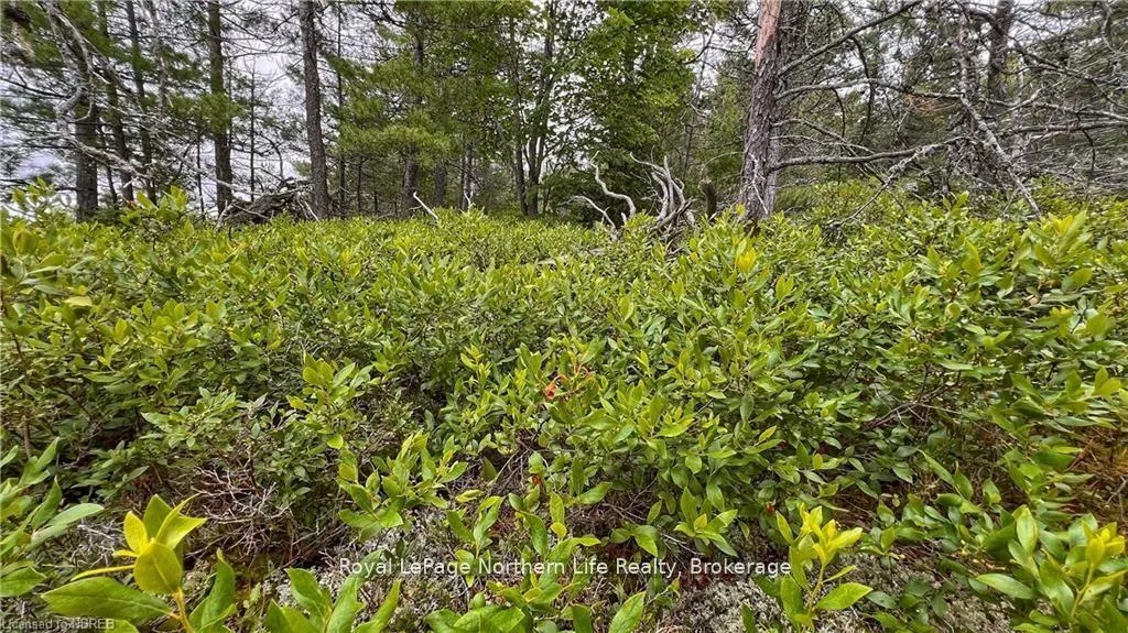 Photo 40 of PCL 16569 Burnt Island, West Nipissing, North Monetville — HOMEH
