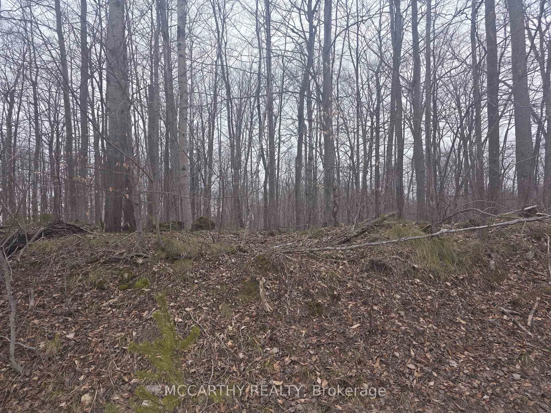 Photo 1 of Lot 9 PT LT 25, CON Rd 8, West Grey — HOMEH