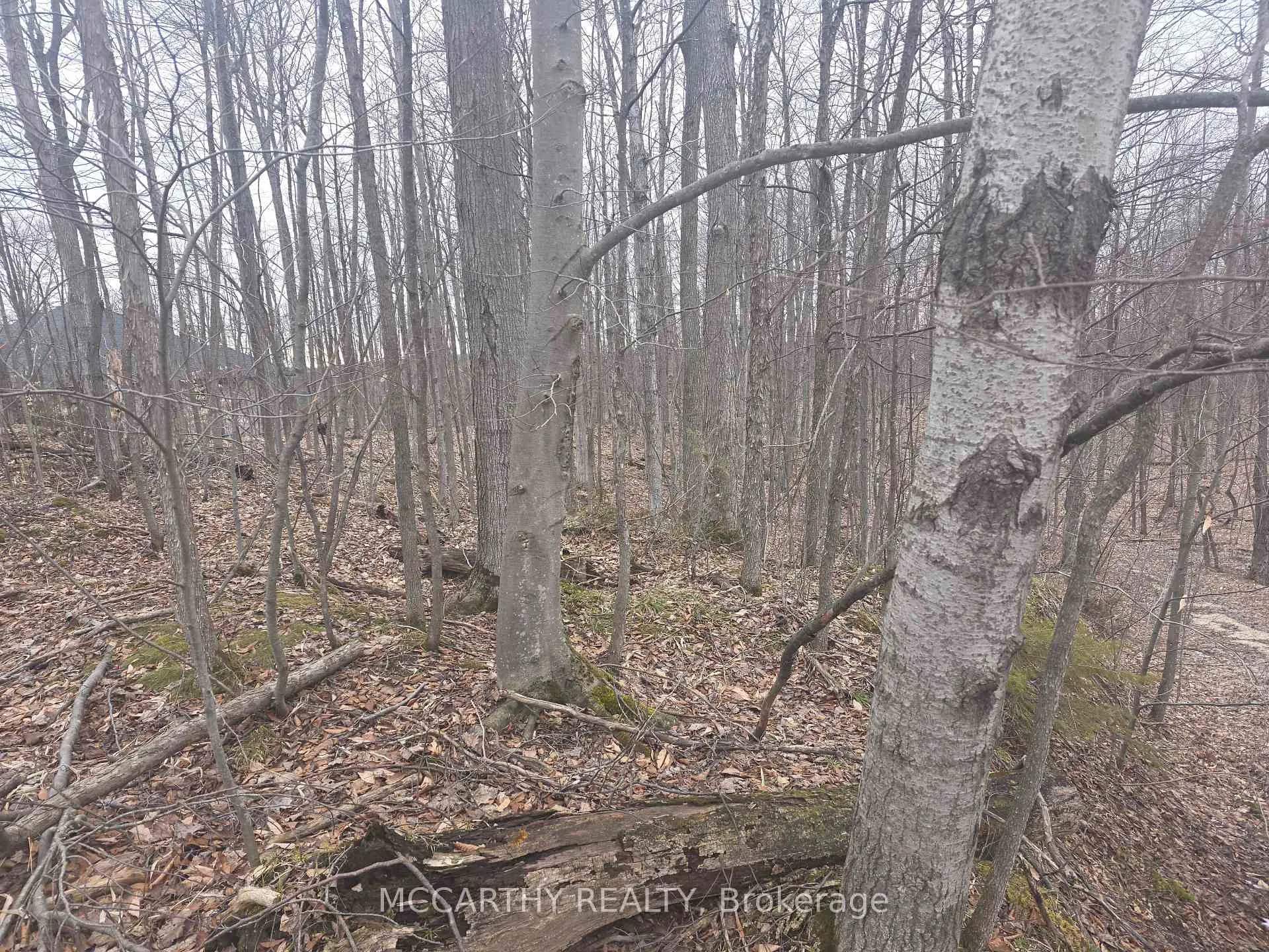 Photo 2 of Lot 9 PT LT 25, CON Rd 8, West Grey — HOMEH