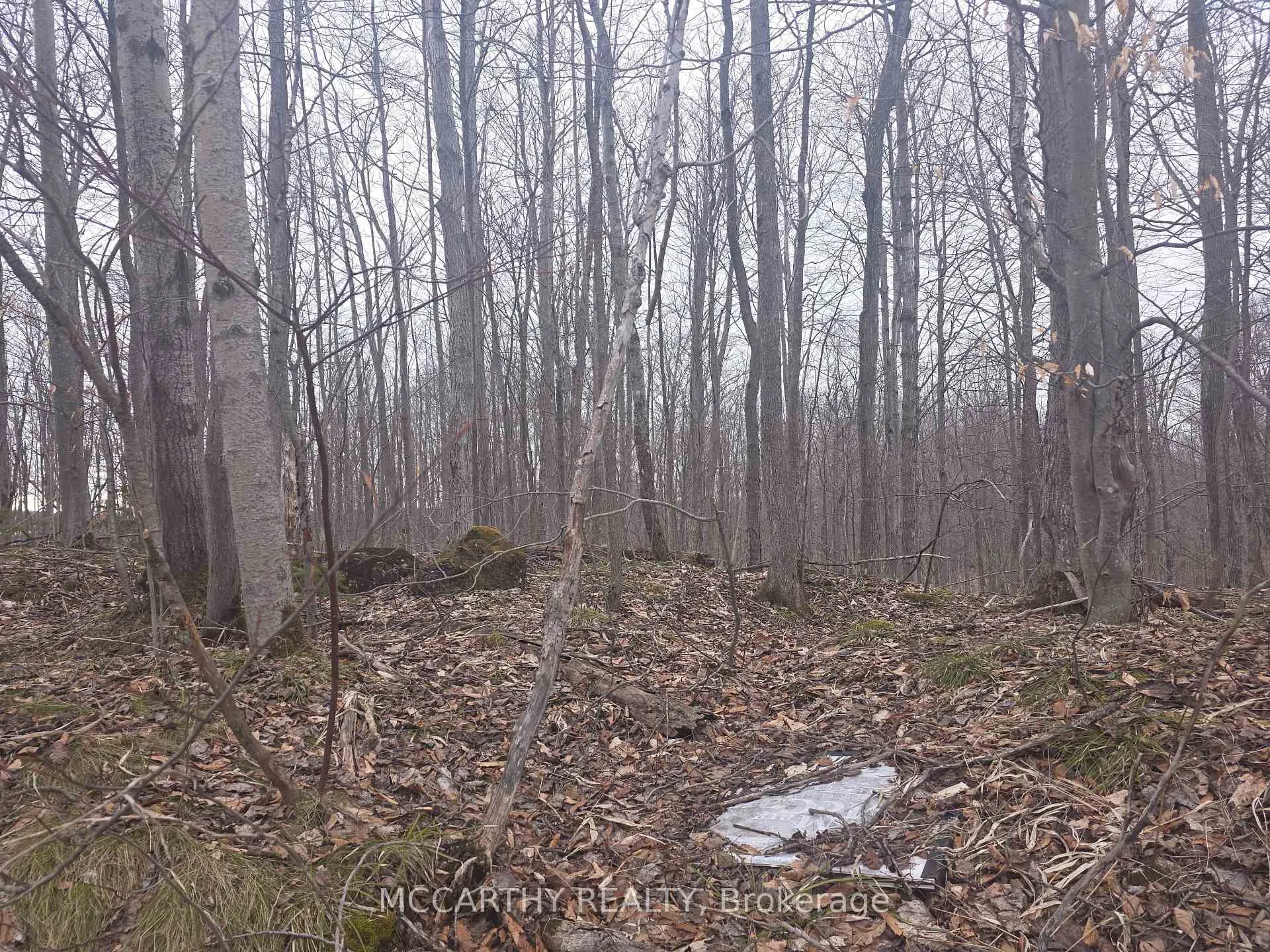 Photo 3 of Lot 9 PT LT 25, CON Rd 8, West Grey — HOMEH