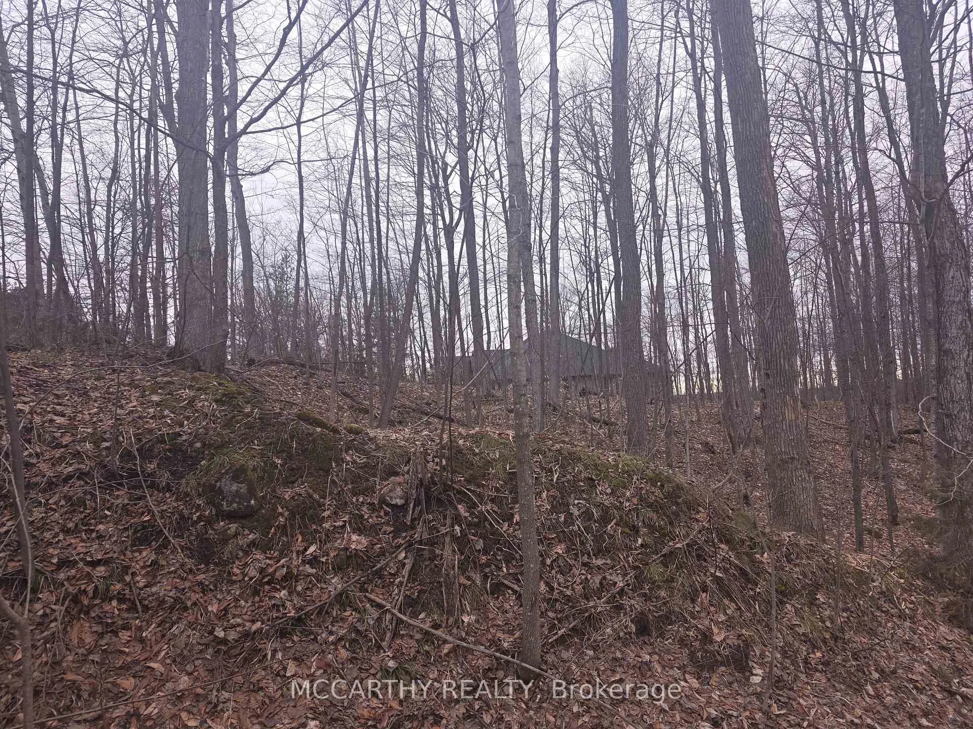 Photo 4 of Lot 9 PT LT 25, CON Rd 8, West Grey — HOMEH