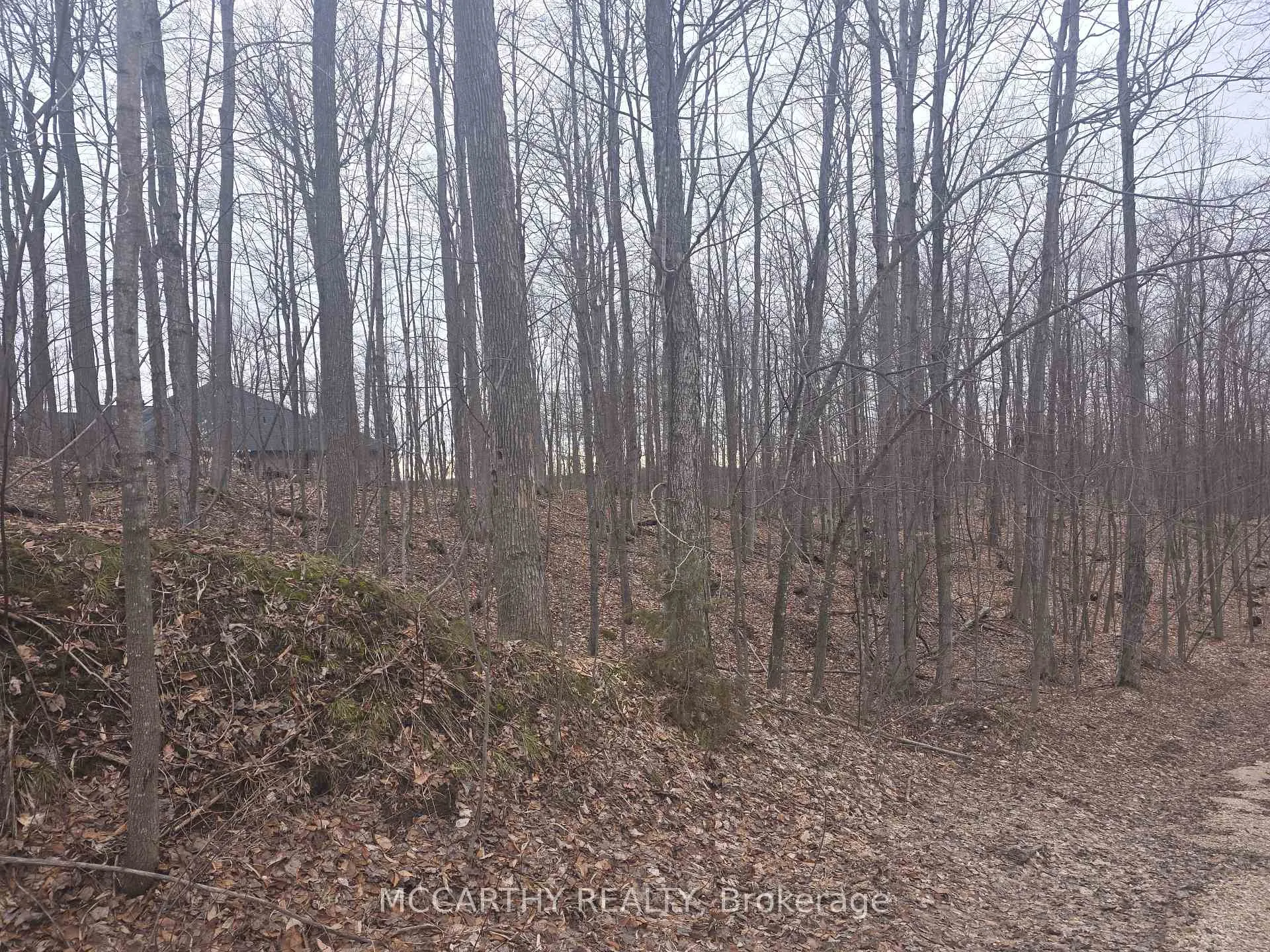 Photo 5 of Lot 9 PT LT 25, CON Rd 8, West Grey — HOMEH
